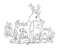 Vector coloring page with deer mother and her baby.